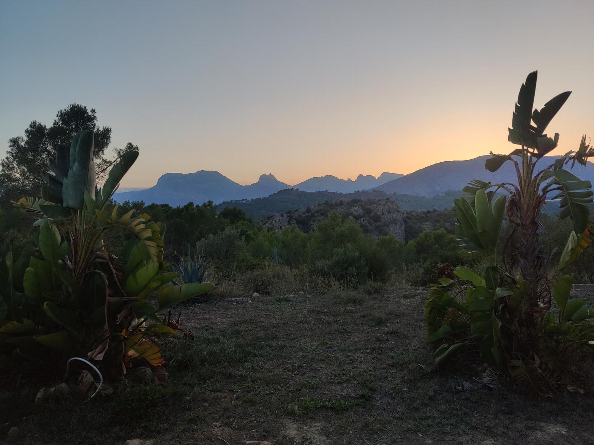 Finca Caracol Bolulla Buitenkant foto